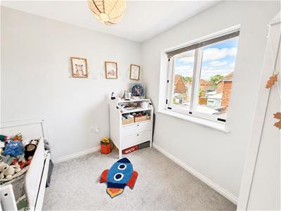Picture 20